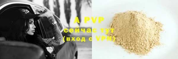 стафф Киренск
