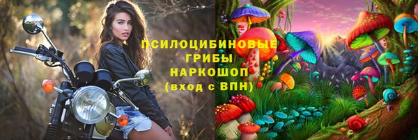 стафф Киренск