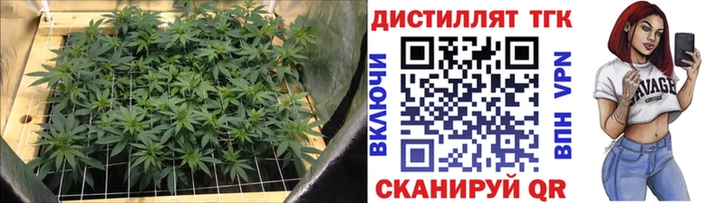 Купить где  Невельск  Дистиллят ТГК THC oil 